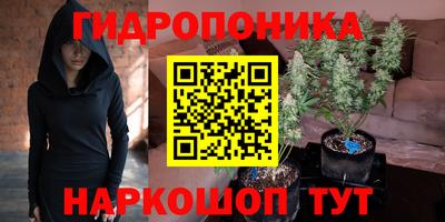 экстази Будённовск