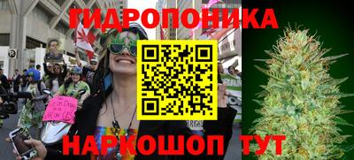 экстази Будённовск