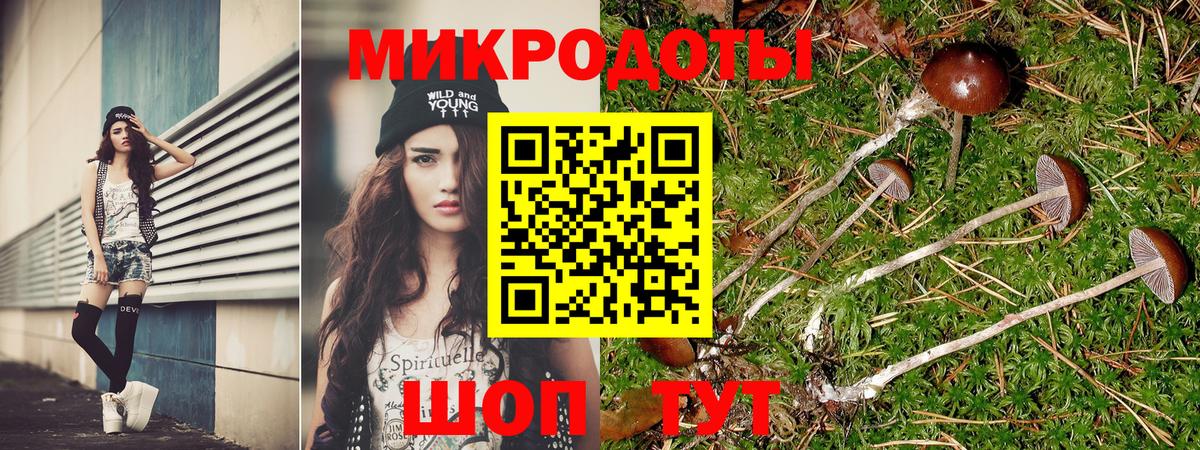 Галлюциногенные грибы GOLDEN TEACHER Нурлат